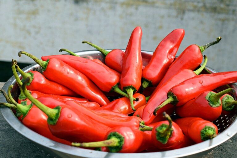 Pimiento Mexicano: Un ingrediente versátil en la cocina